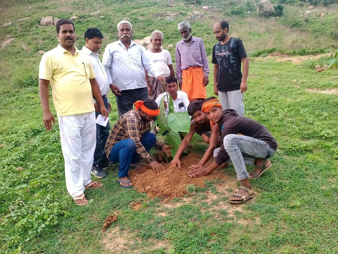 Plantation for Environment Protection